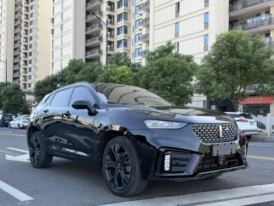 Wey Wei brand VV7