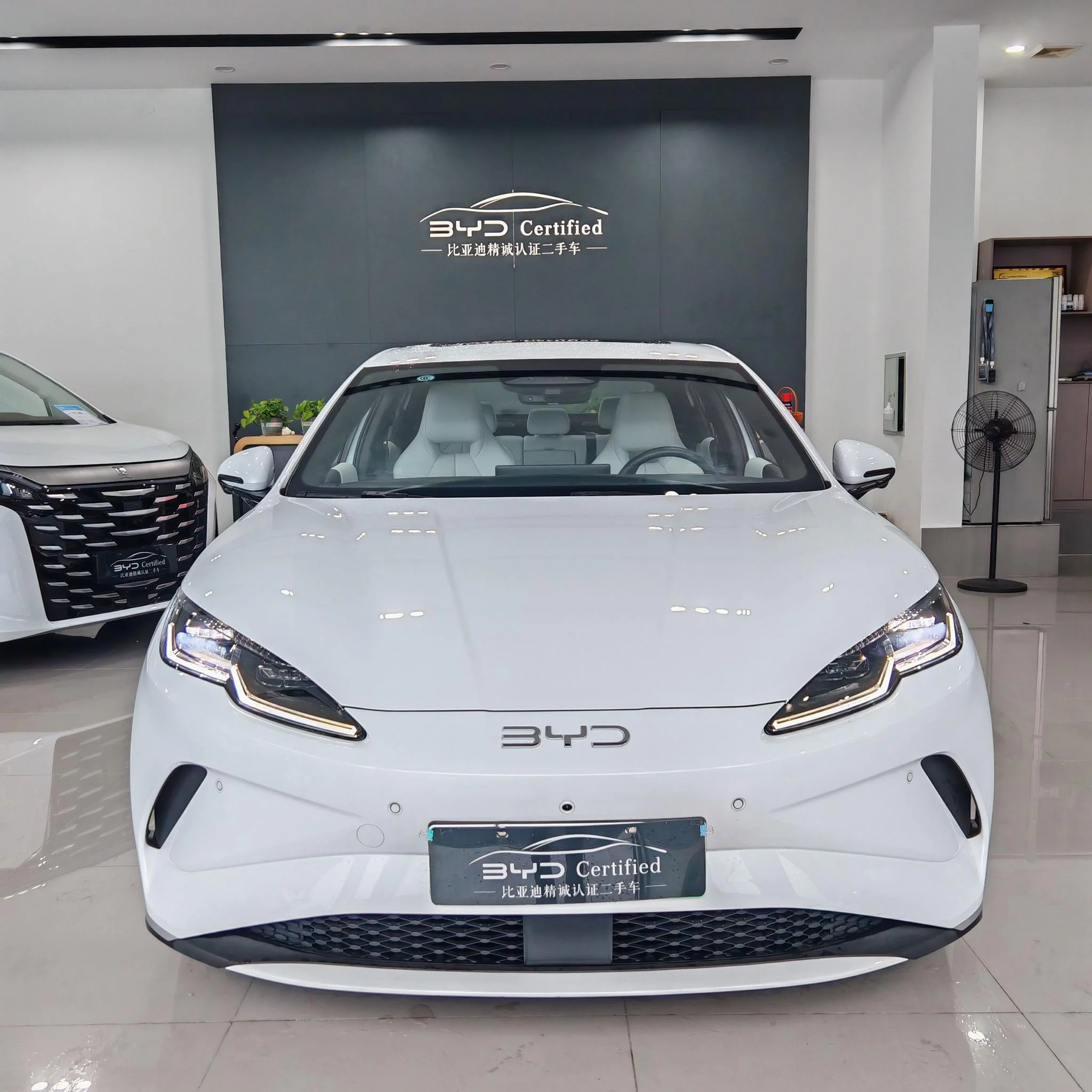 BYD Seal 06EV
