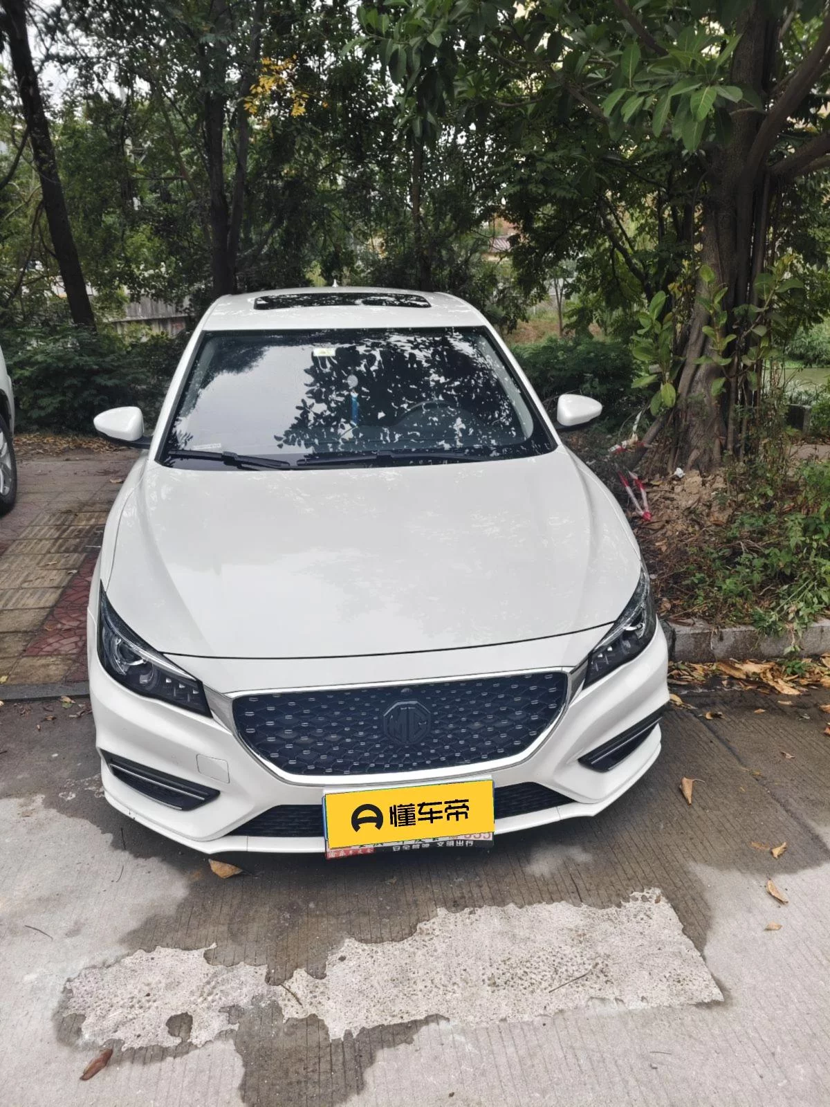 MG 6