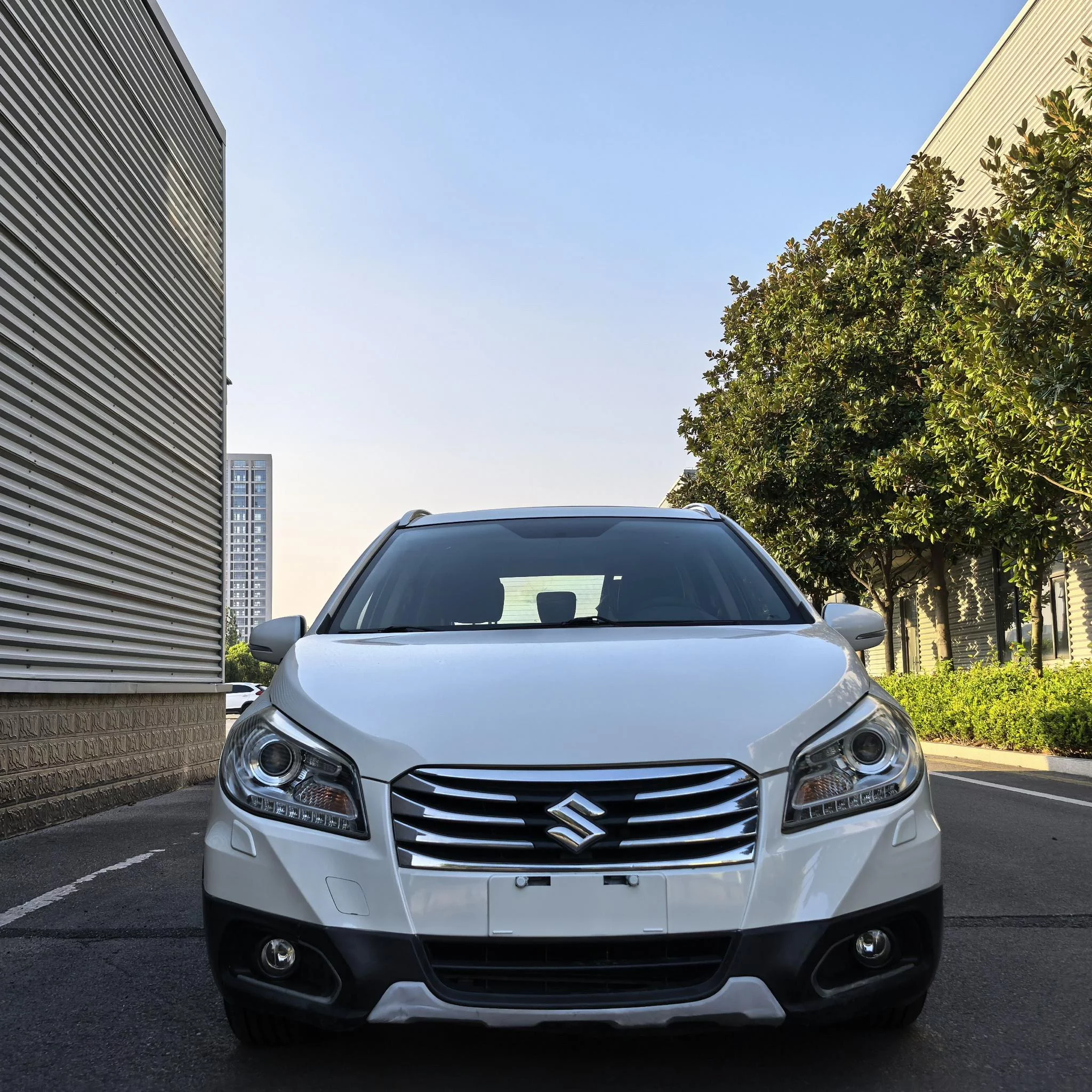 Suzuki Feng Yu  из Китая