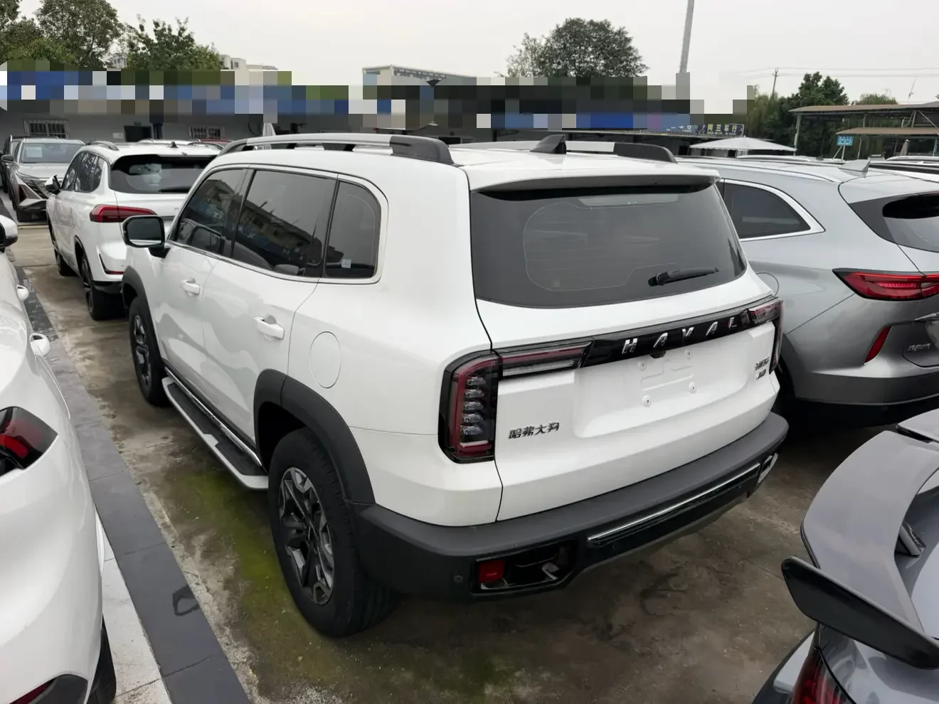 Haval Great Wall Dachshund