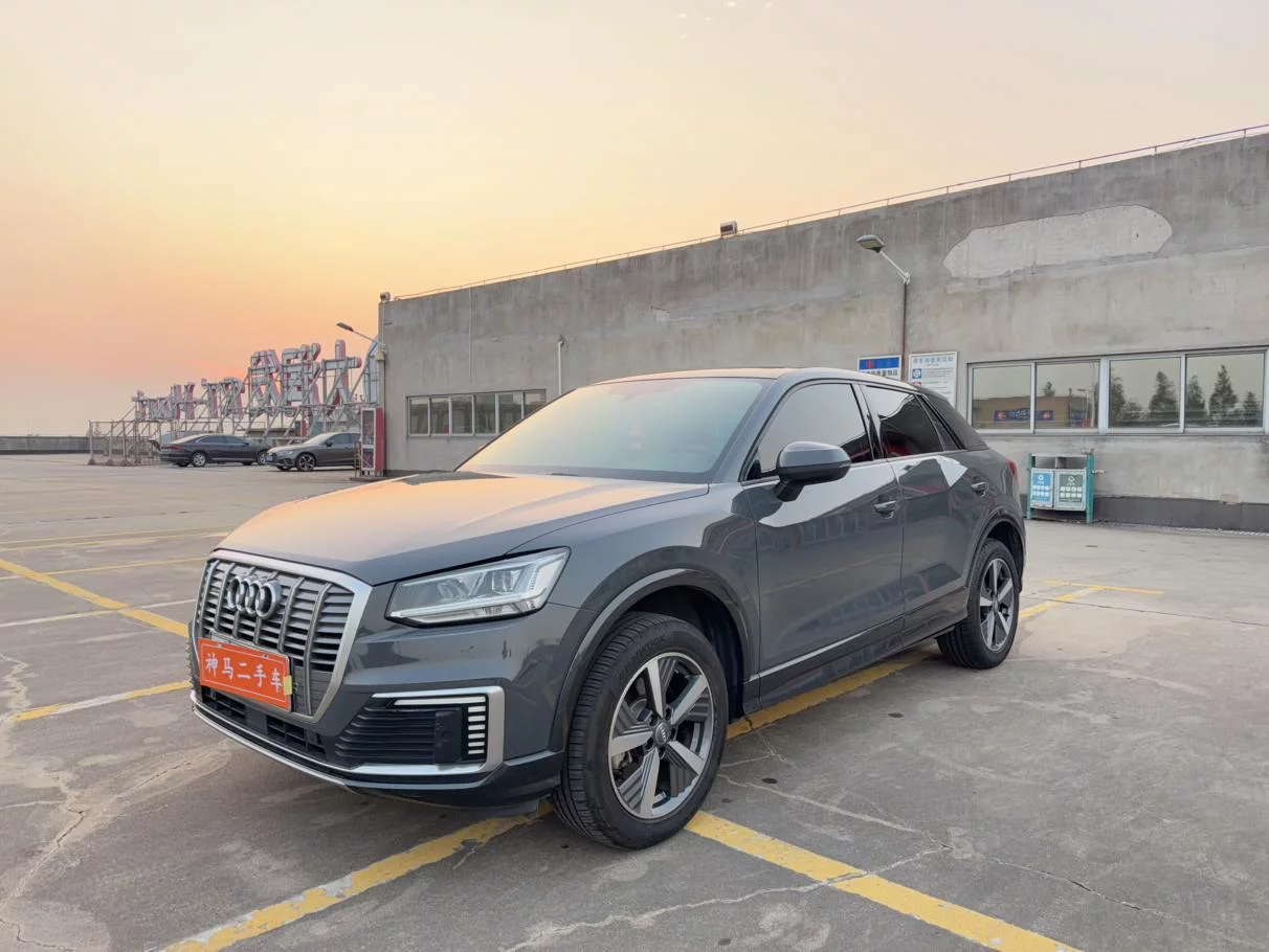 Audi Q2L e-tron  из Китая