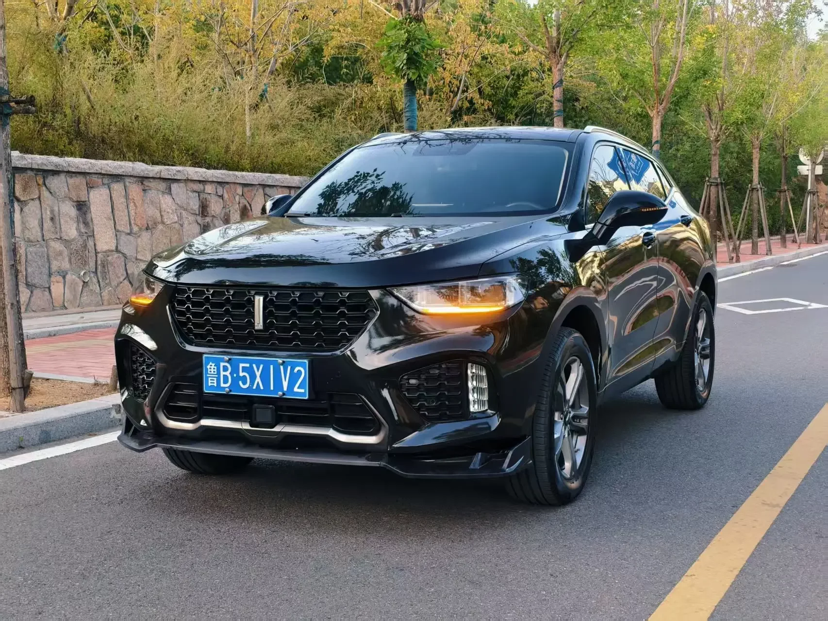 Wey Wei brand VV5  из Китая