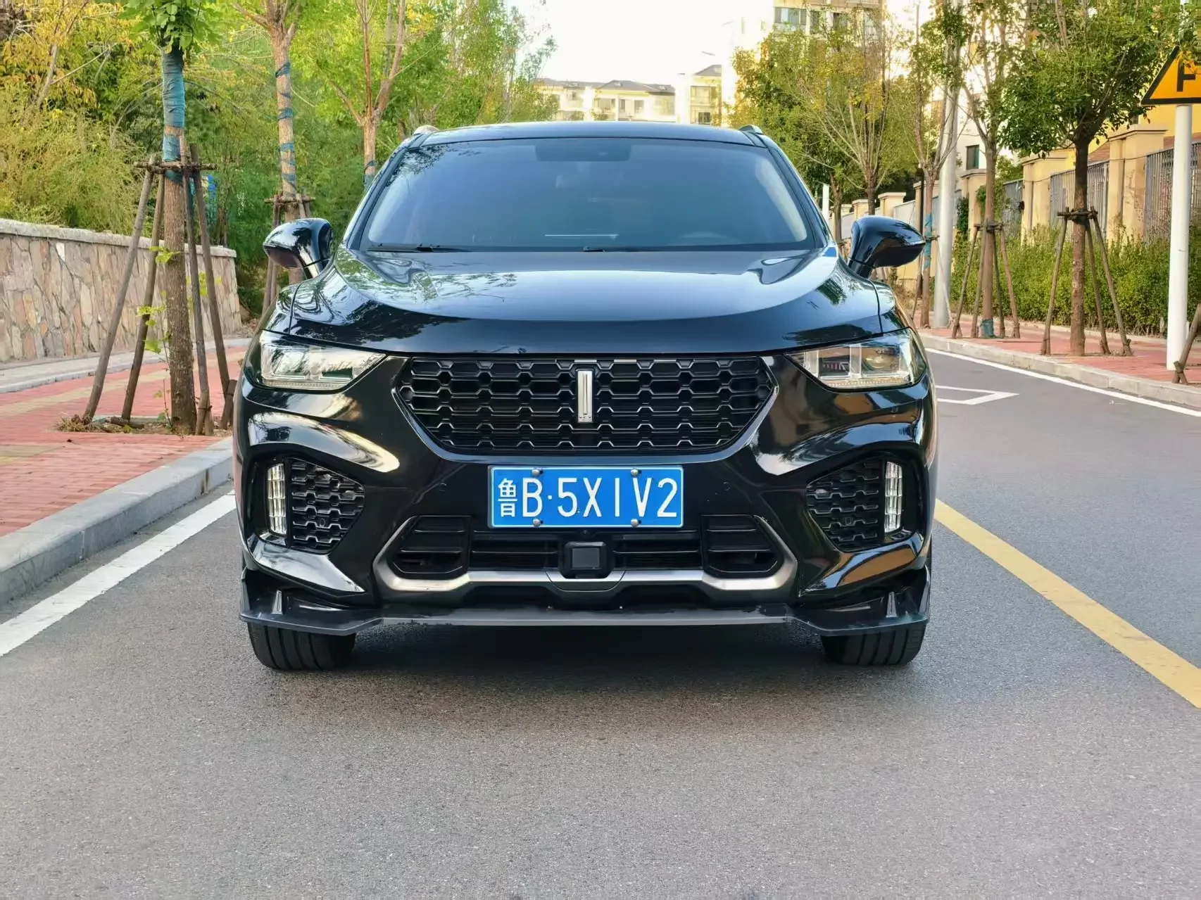 Wey Wei brand VV5  из Китая