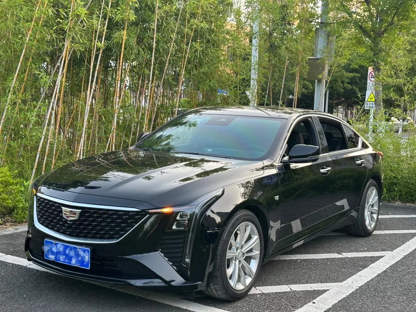 catalog-car-1
