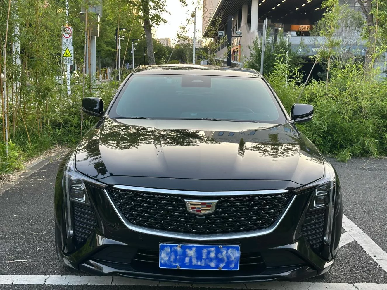 catalog-car-2