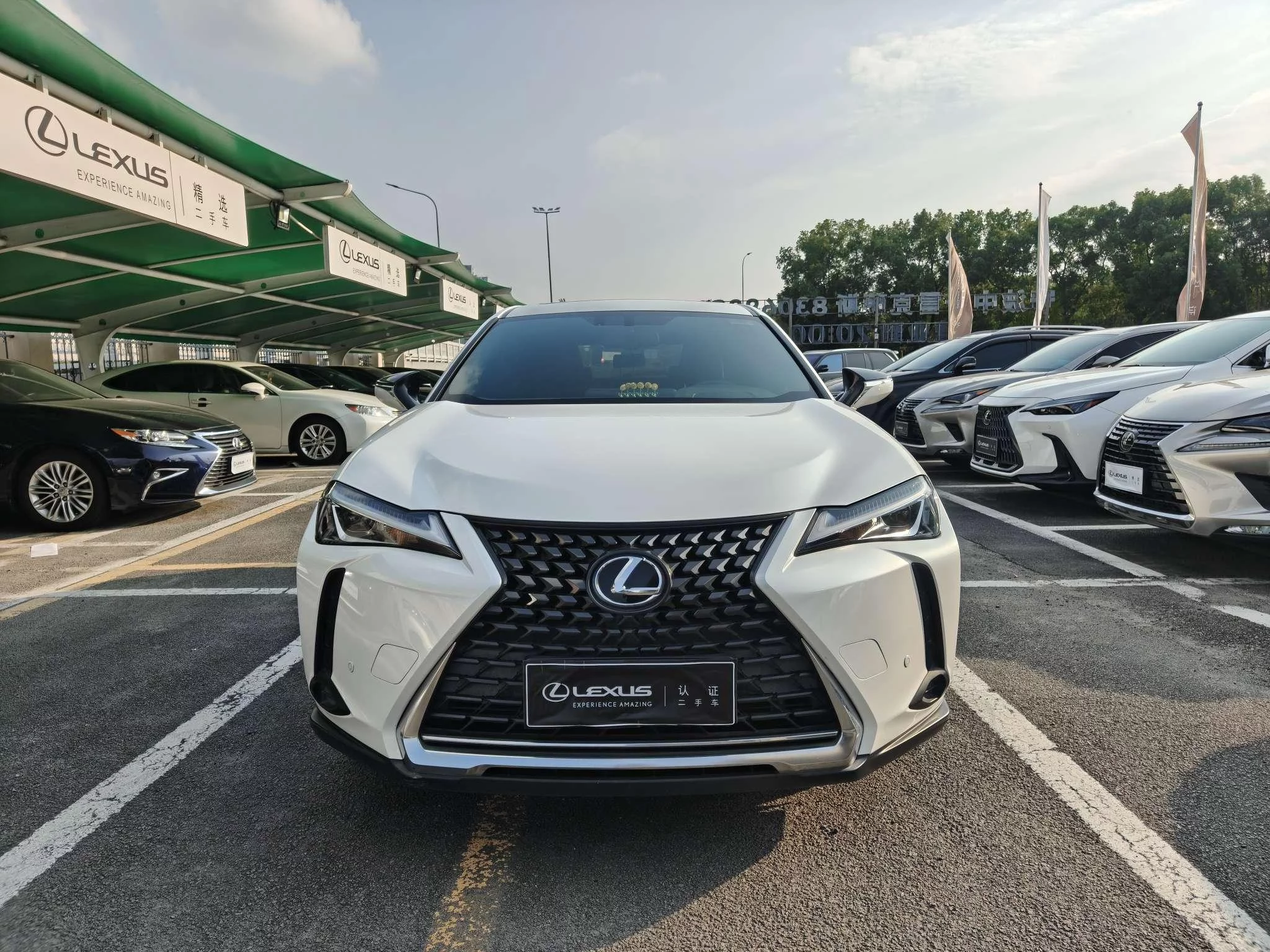 Lexus UX  из Китая