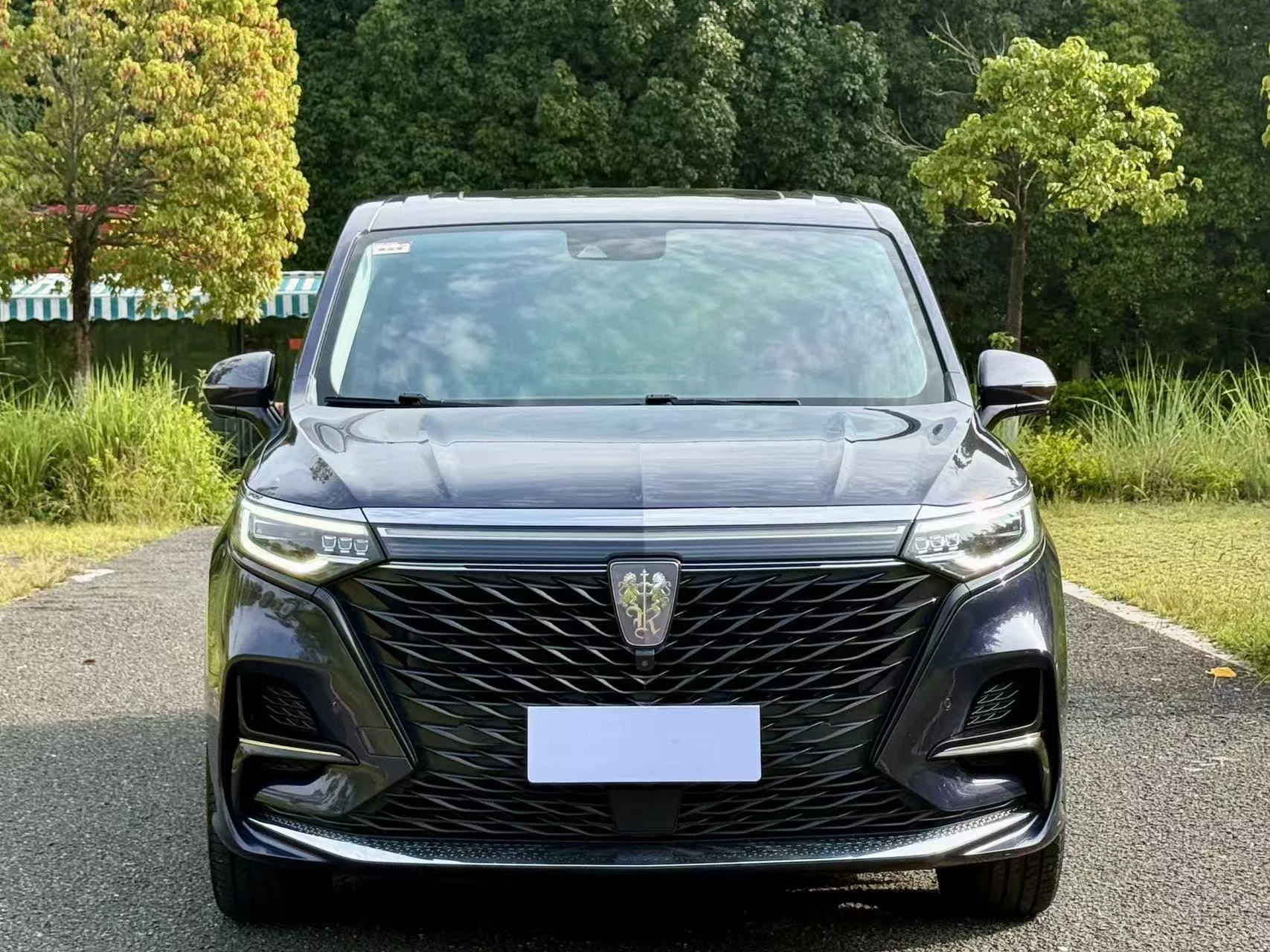 Roewe iMAX8  из Китая