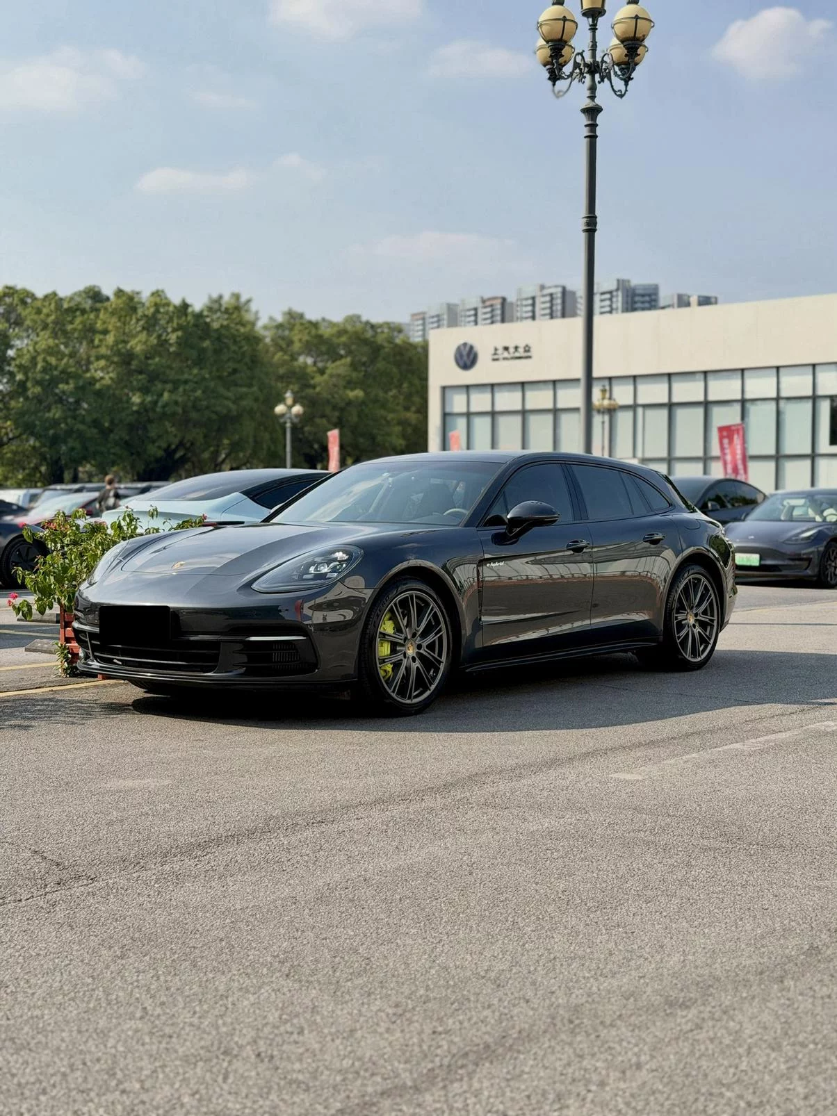 Porsche Panamera E-Hybrid  из Китая
