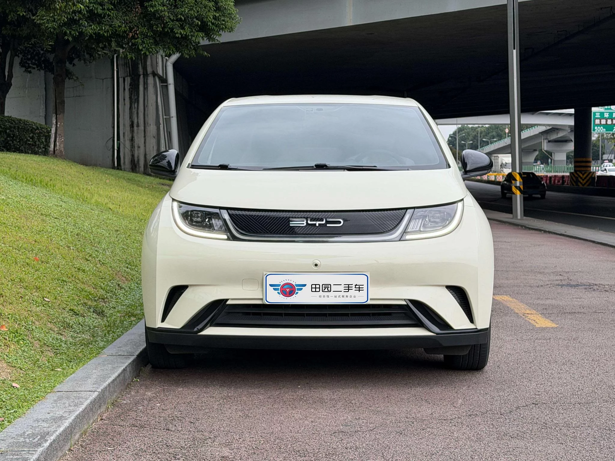 BYD Dolphin