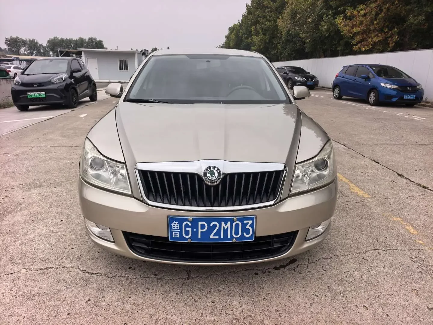 Skoda Octavia  из Китая
