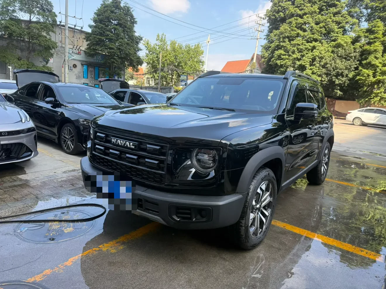 Haval Great Wall Dachshund