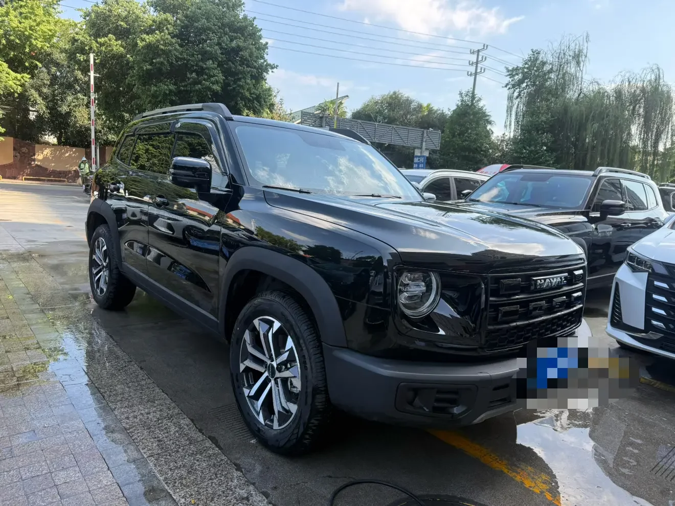 Haval Great Wall Dachshund