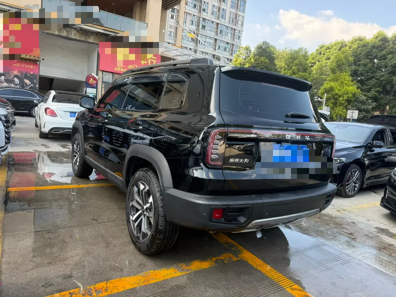 Haval Great Wall Dachshund