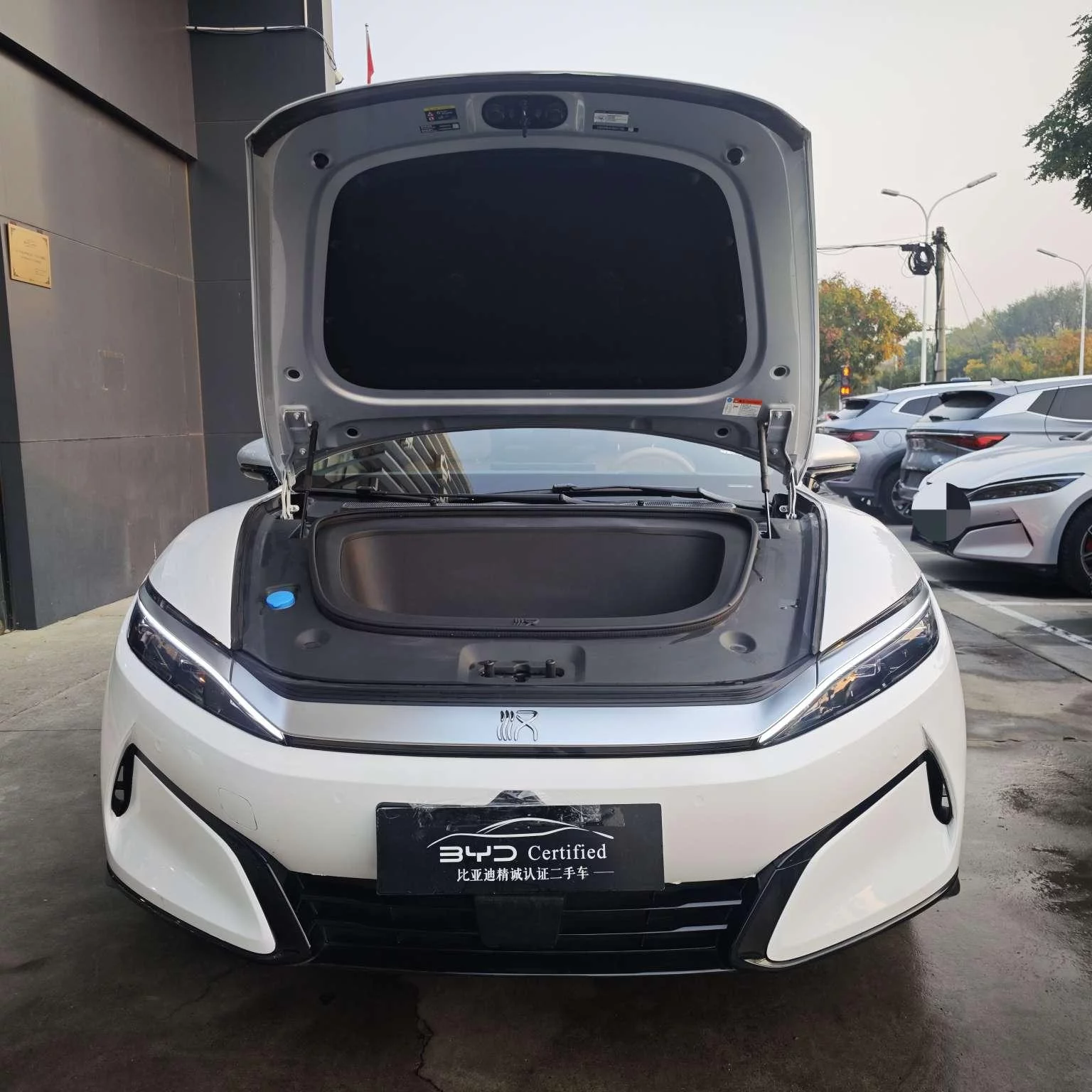 BYD Han L EV