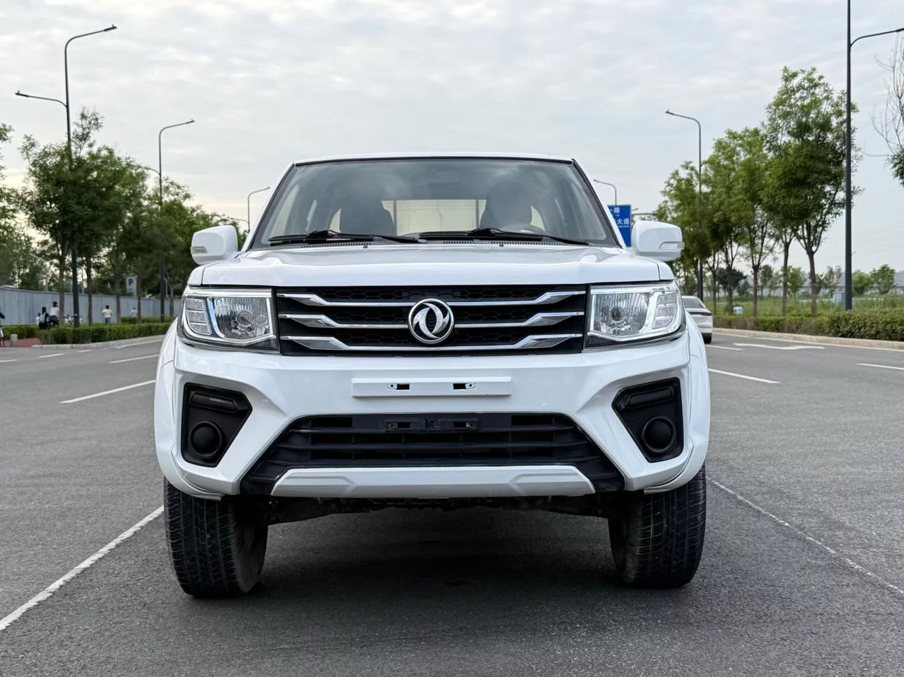 Dongfeng Ruiqi  из Китая
