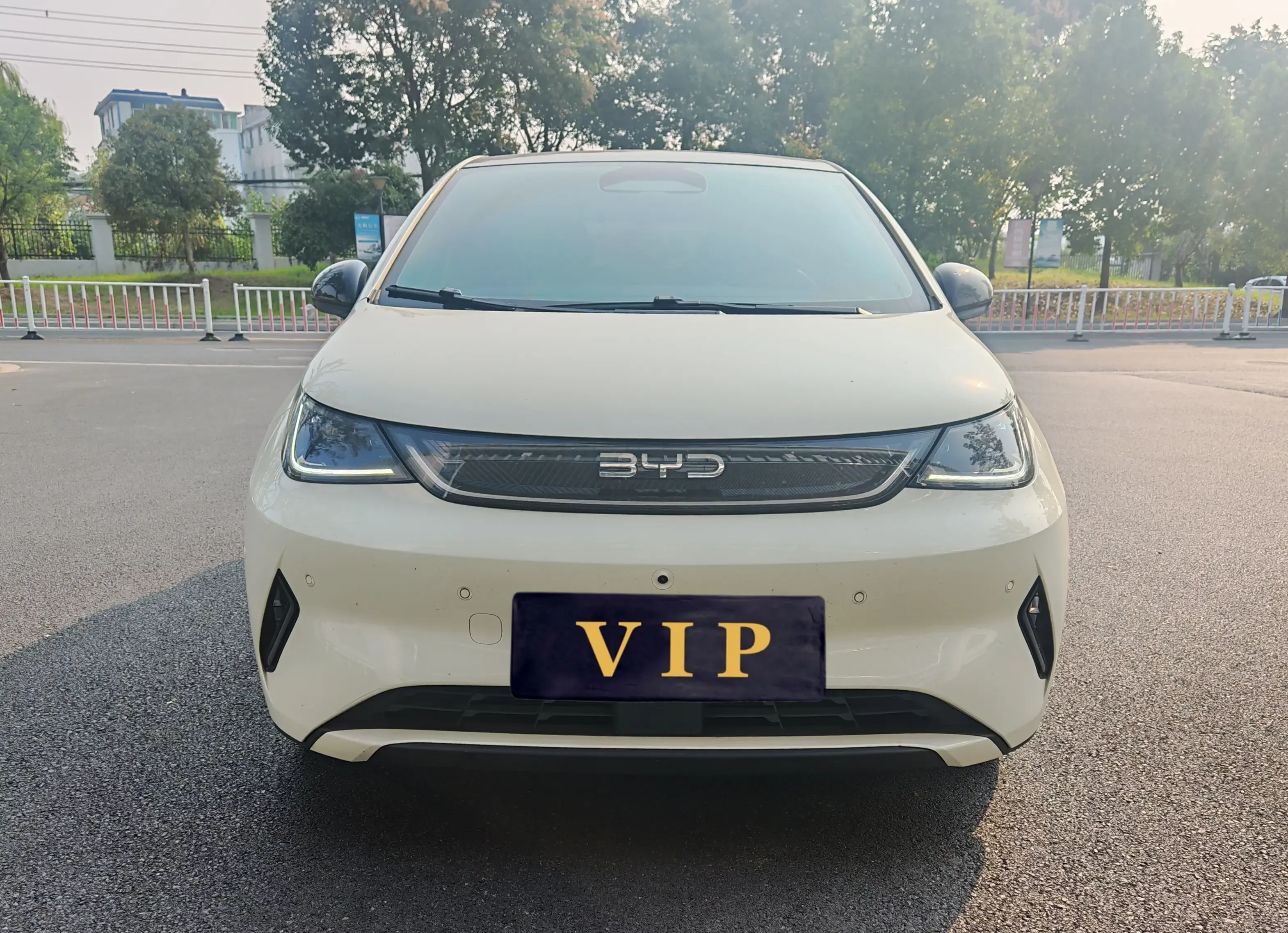 BYD Dolphin