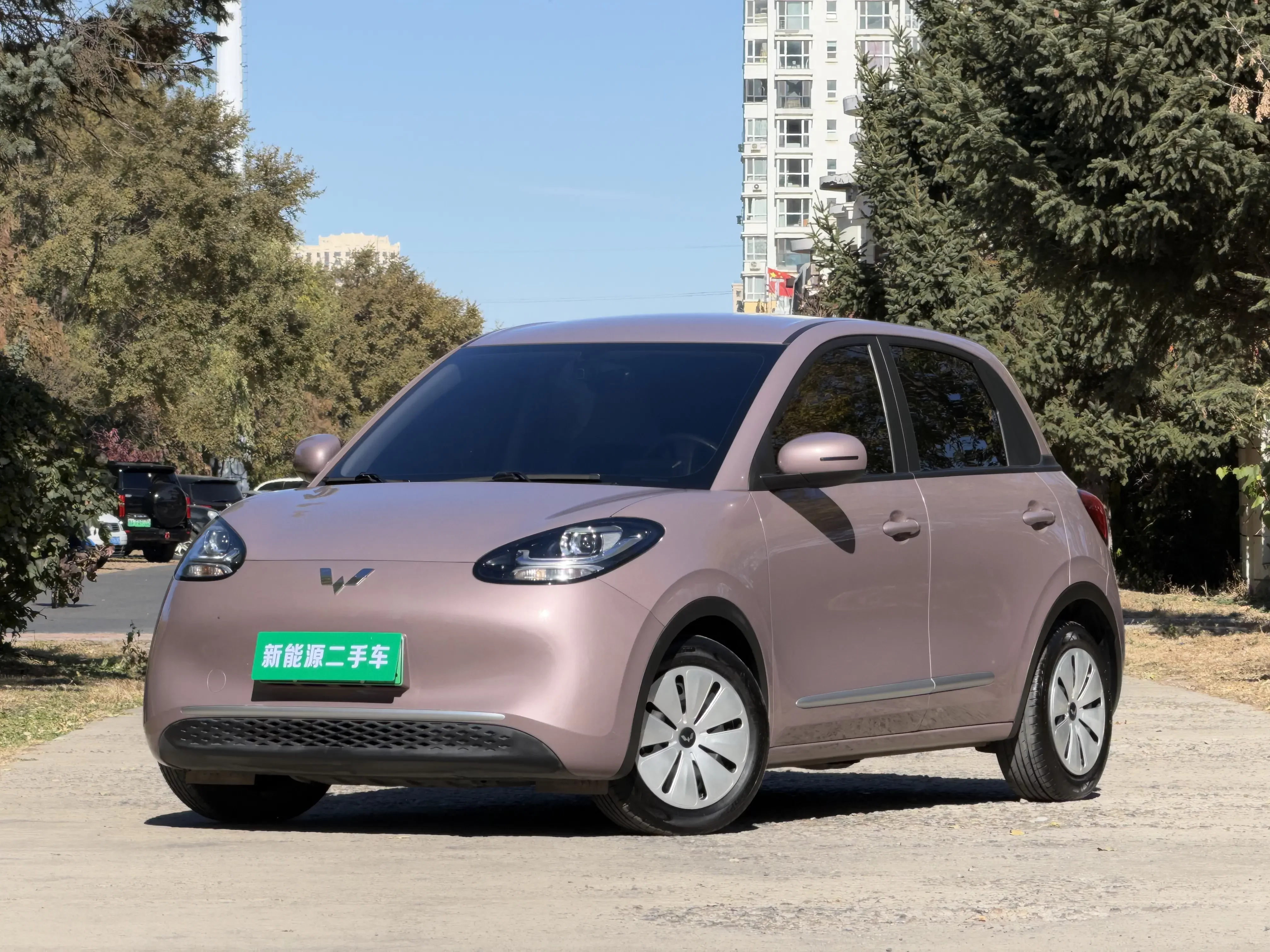 Wuling Bingo