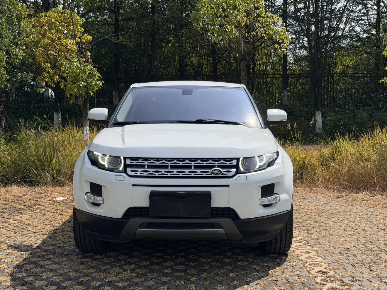Land Rover Range Rover Evoque  из Китая