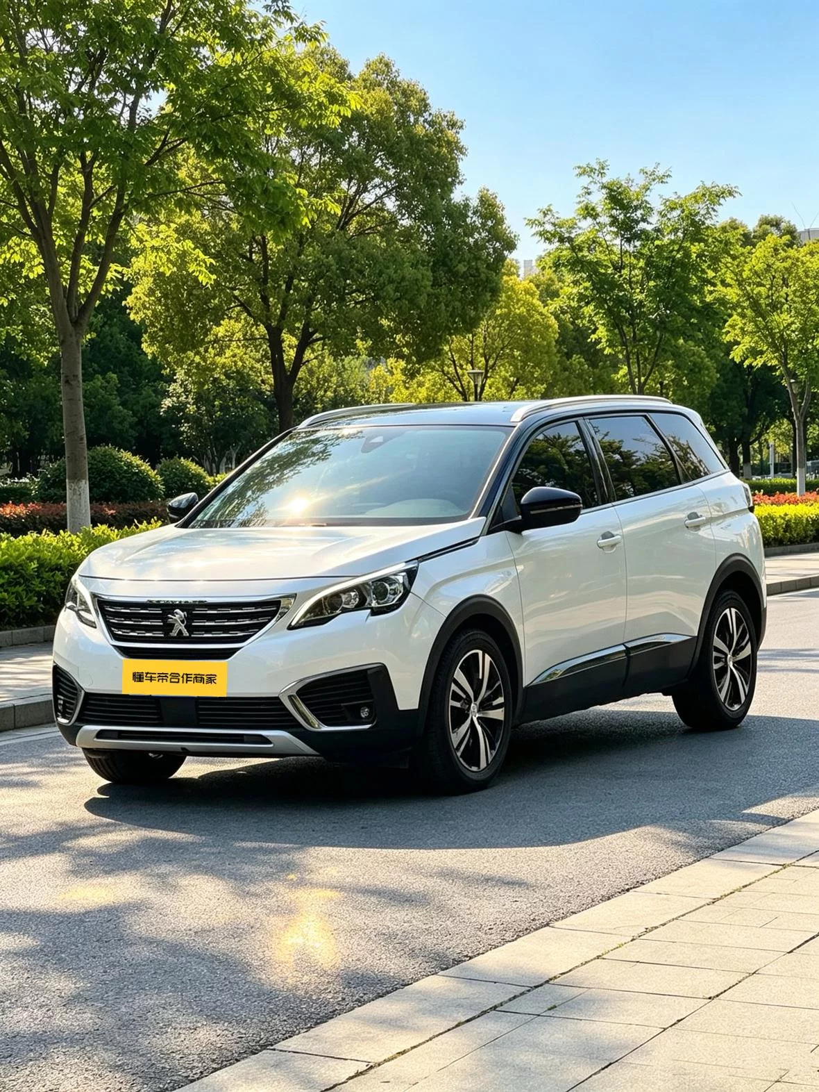 Peugeot 5008  из Китая
