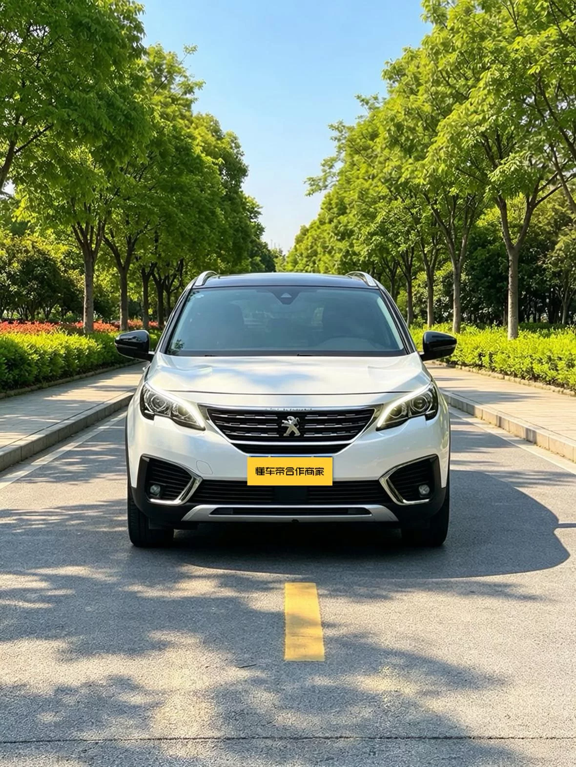 Peugeot 5008  из Китая