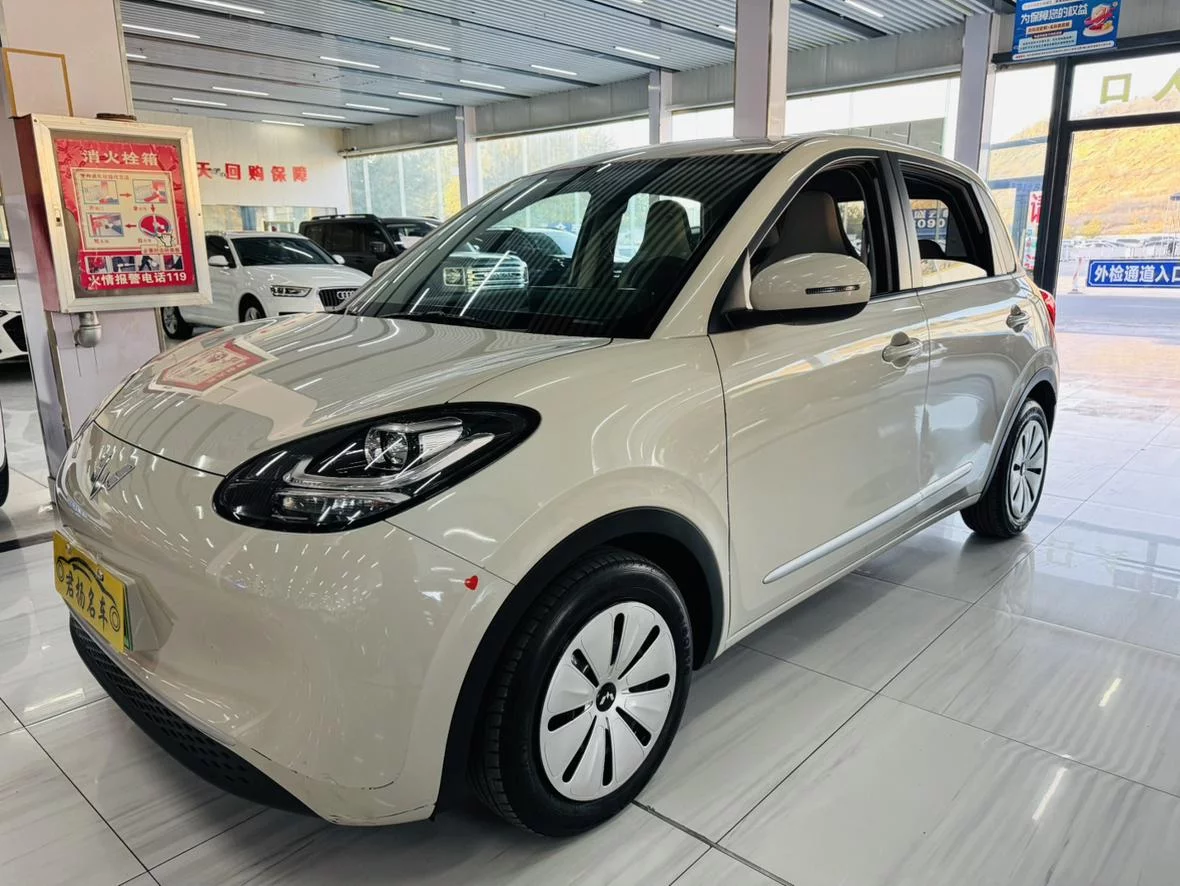 Wuling Bingo