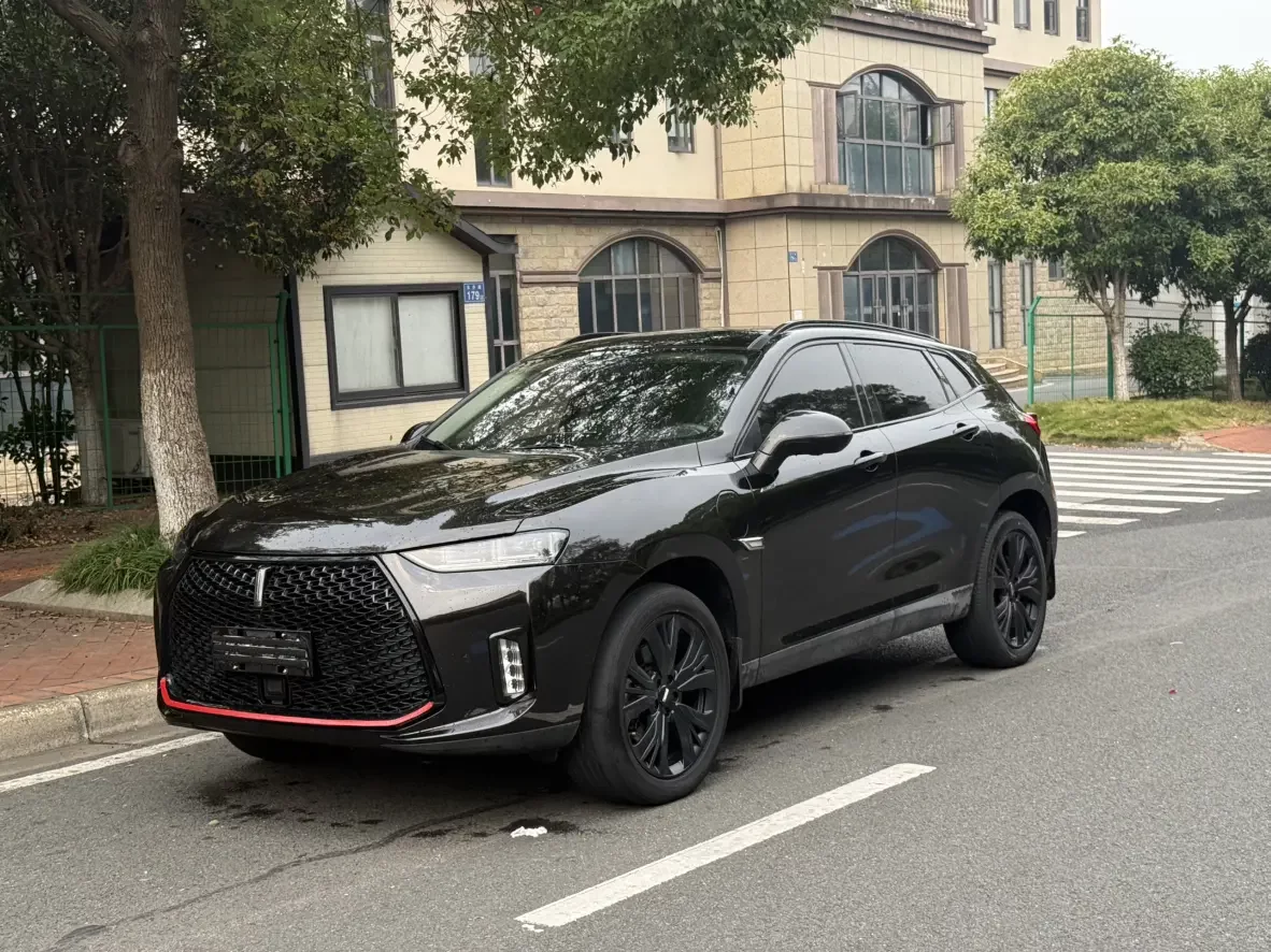Wey Wei brand P8  из Китая