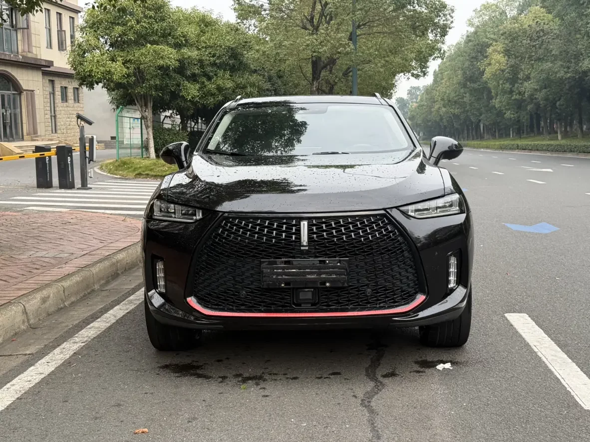 Wey Wei brand P8  из Китая