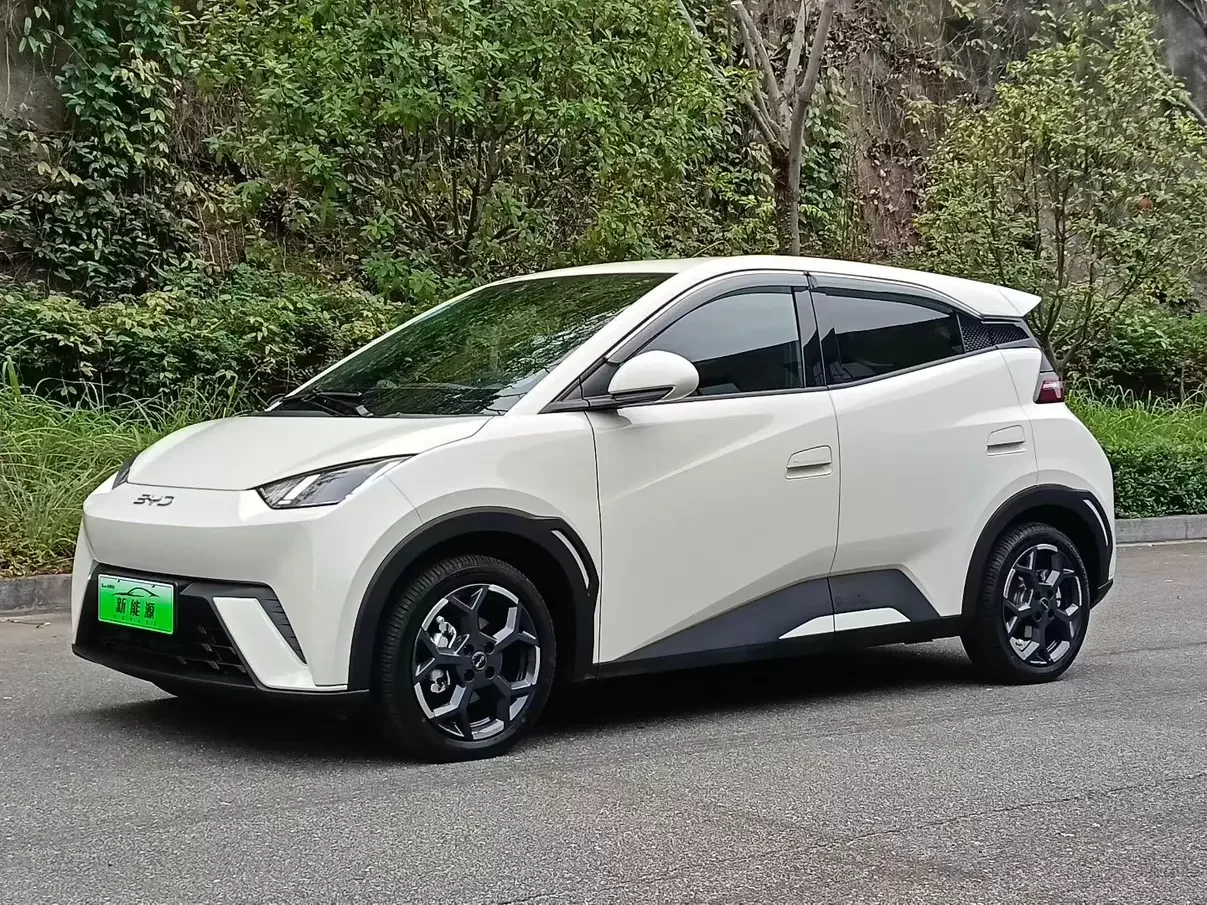 BYD Seagull