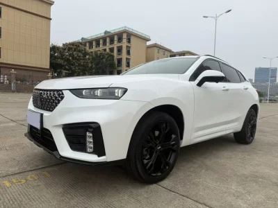 Wey Wei brand VV7