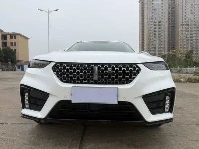 Wey Wei brand VV7