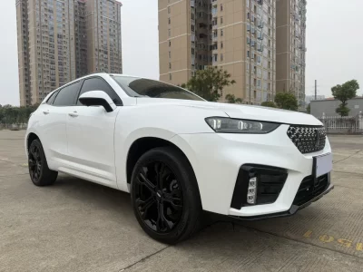 Wey Wei brand VV7