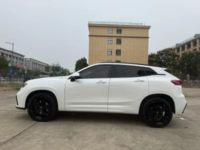 Wey Wei brand VV7