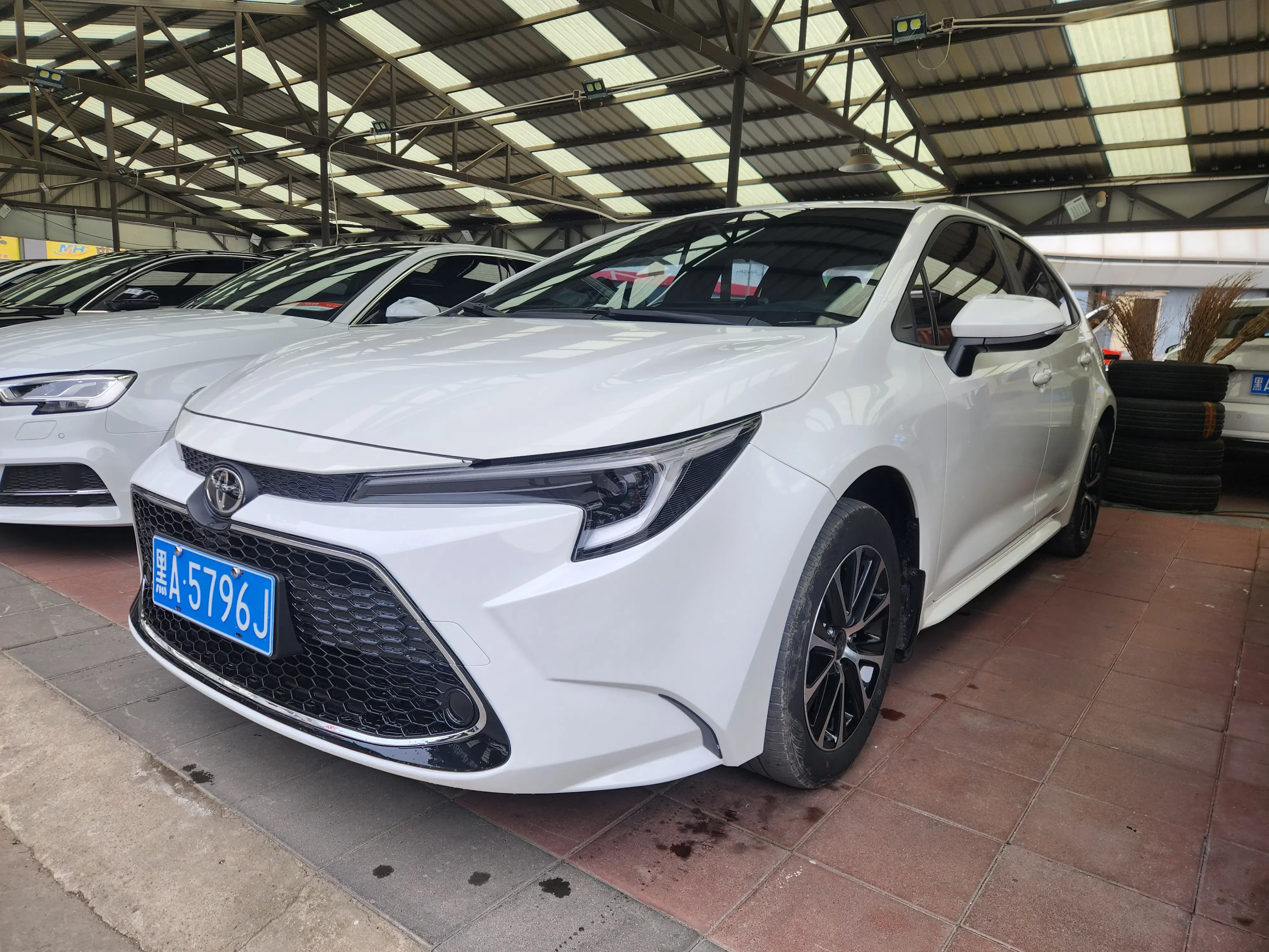 Toyota Levin