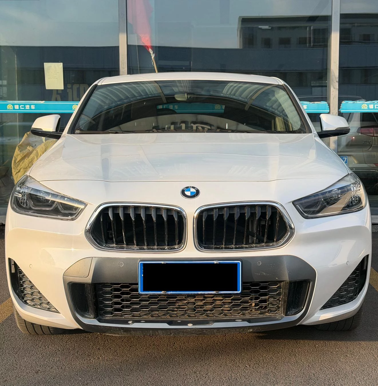 BMW X2