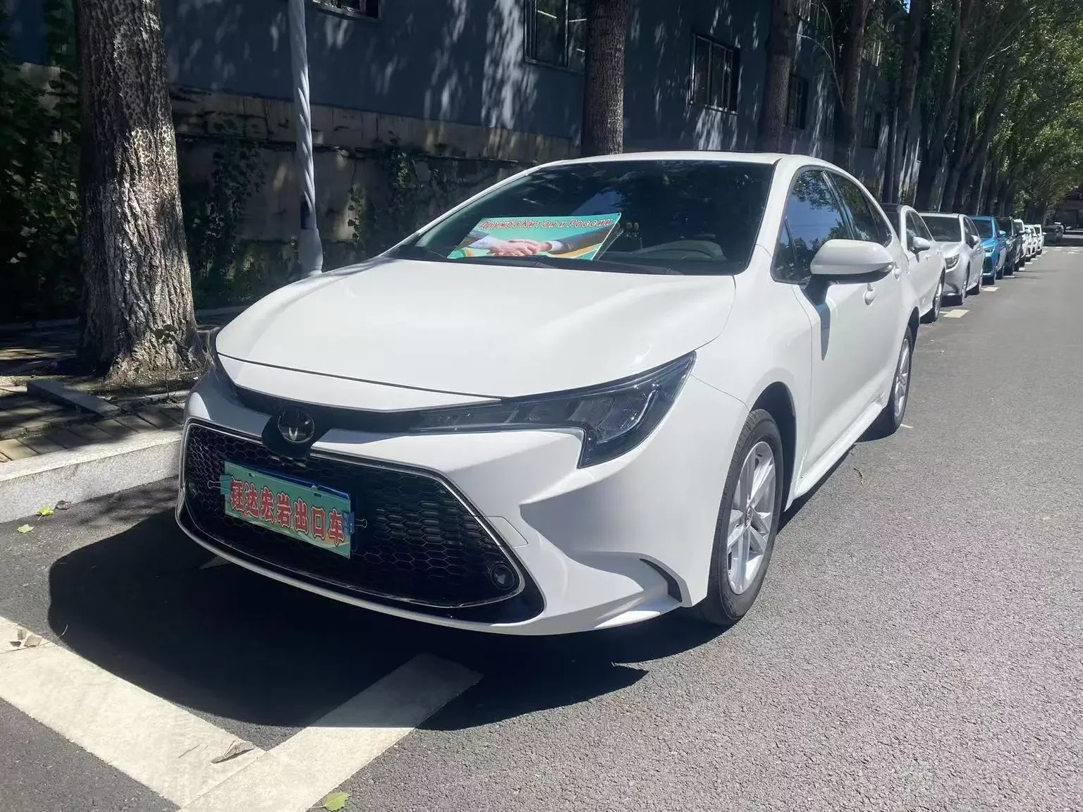 Toyota Levin