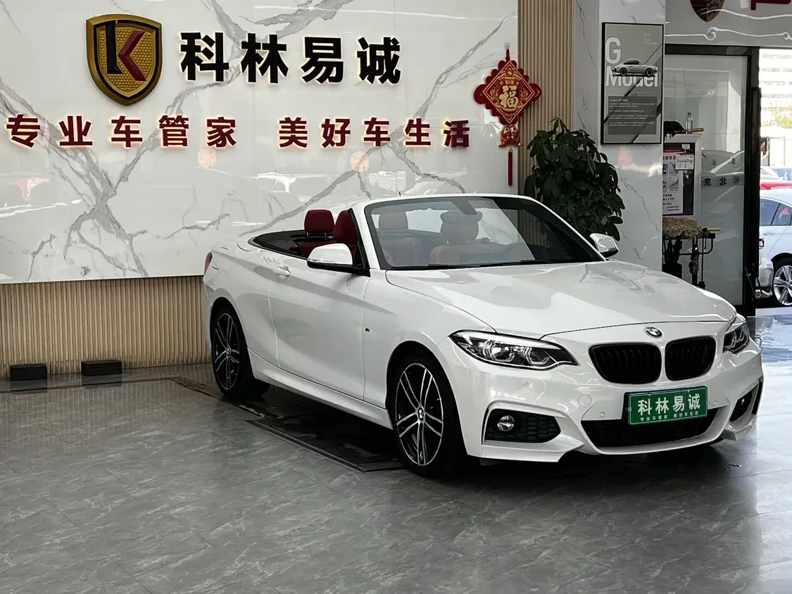 BMW 2 Series
