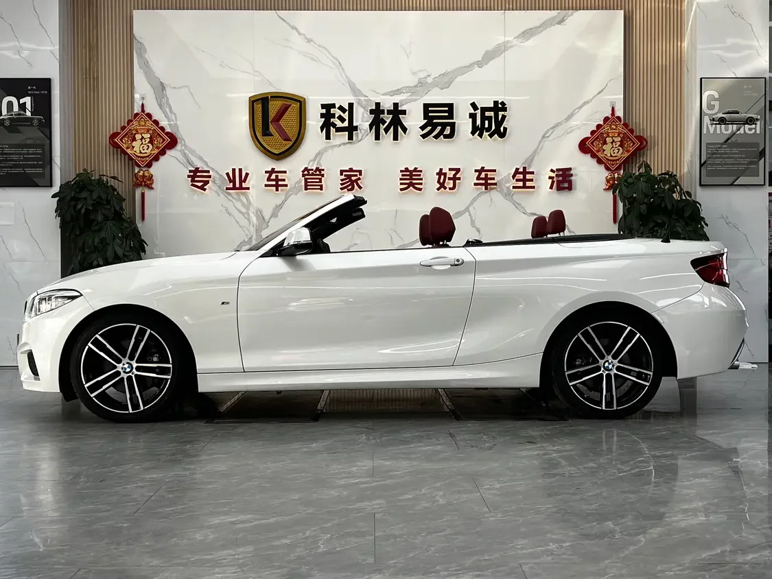 BMW 2 Series