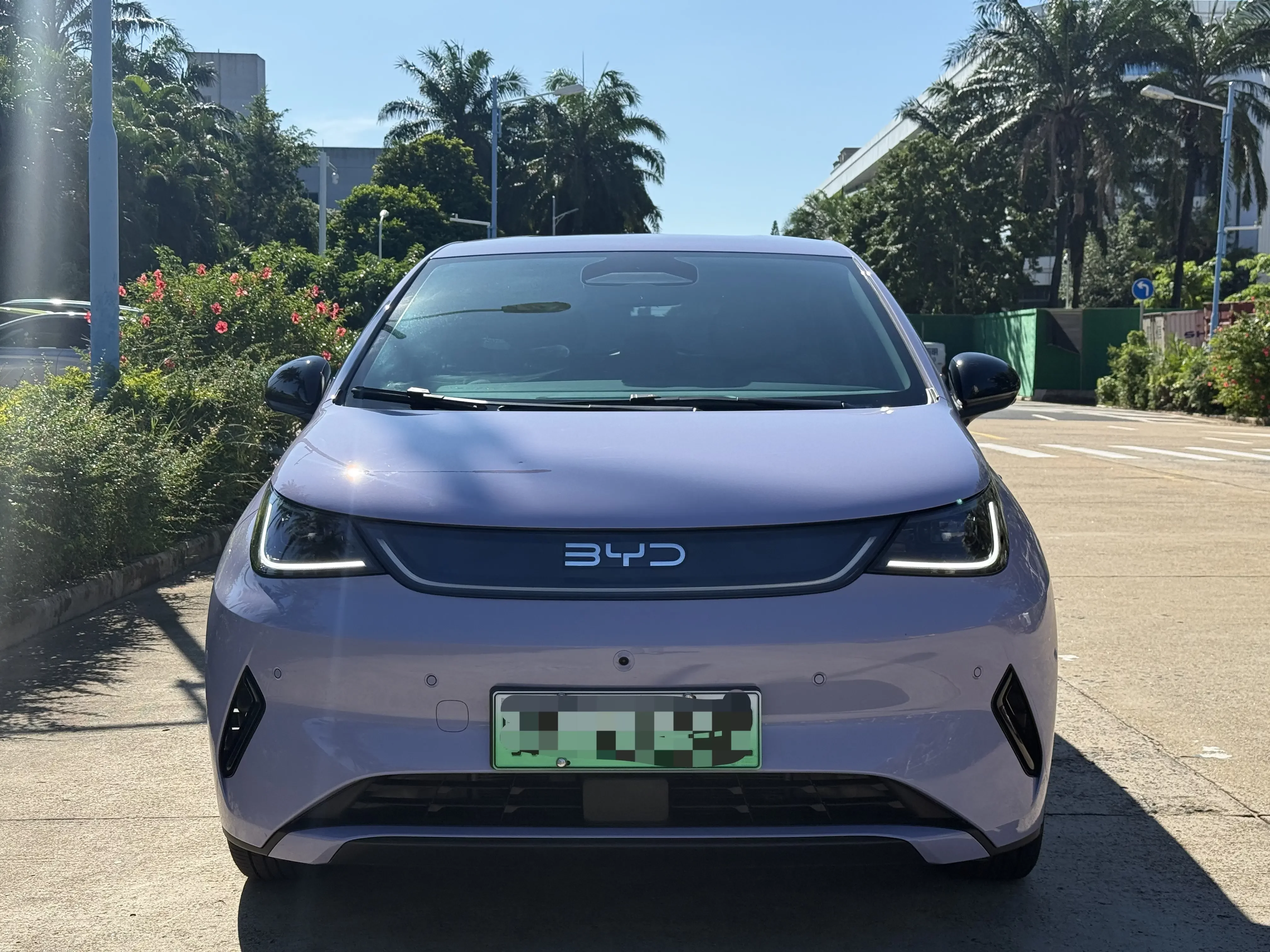BYD Dolphin