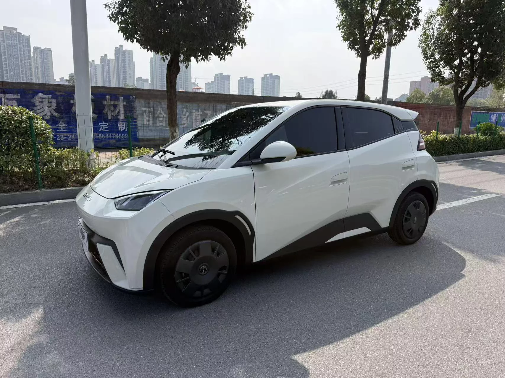 BYD Seagull