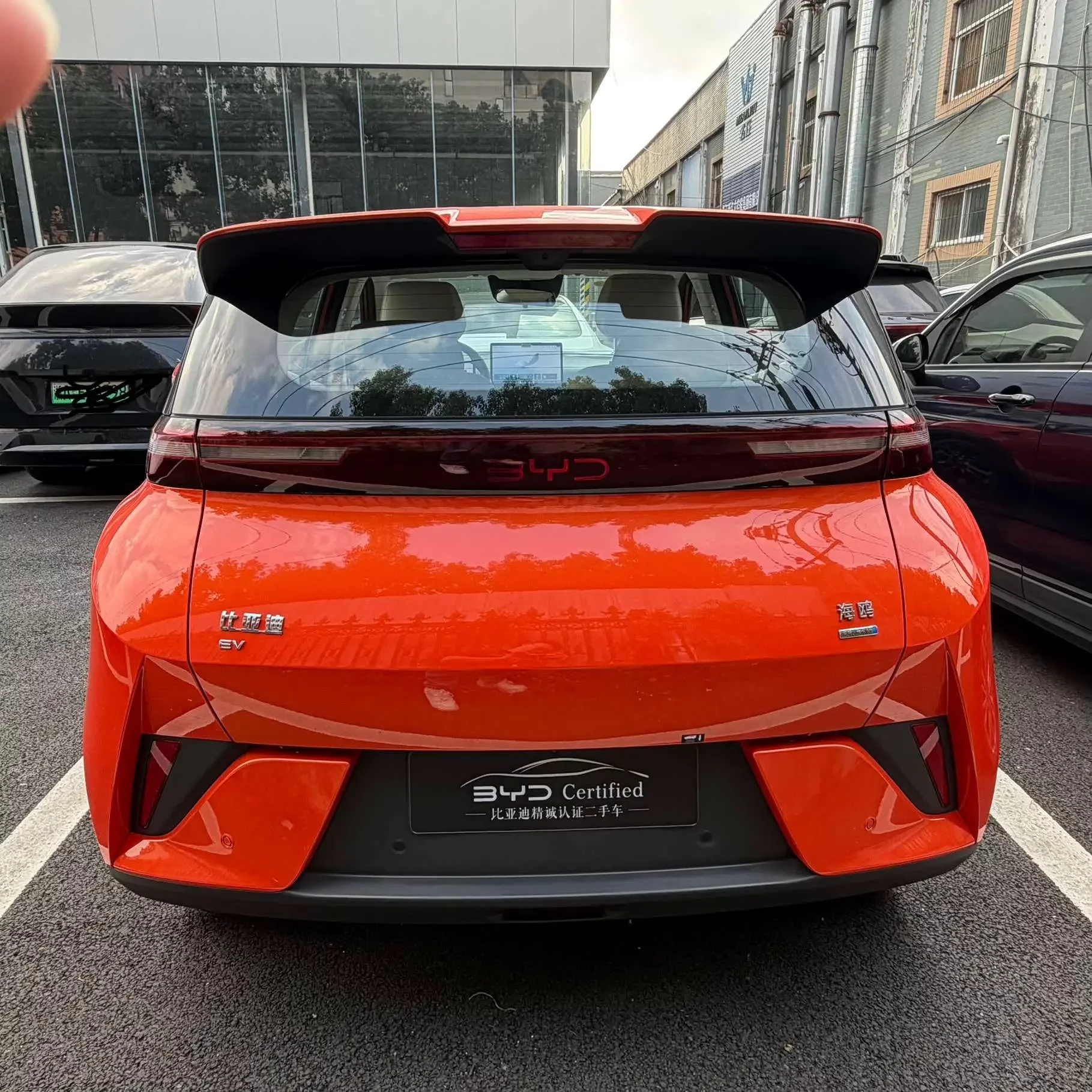 BYD Seagull