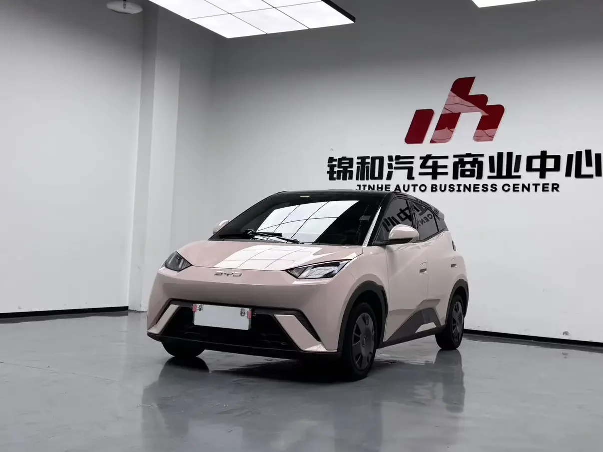 BYD Seagull