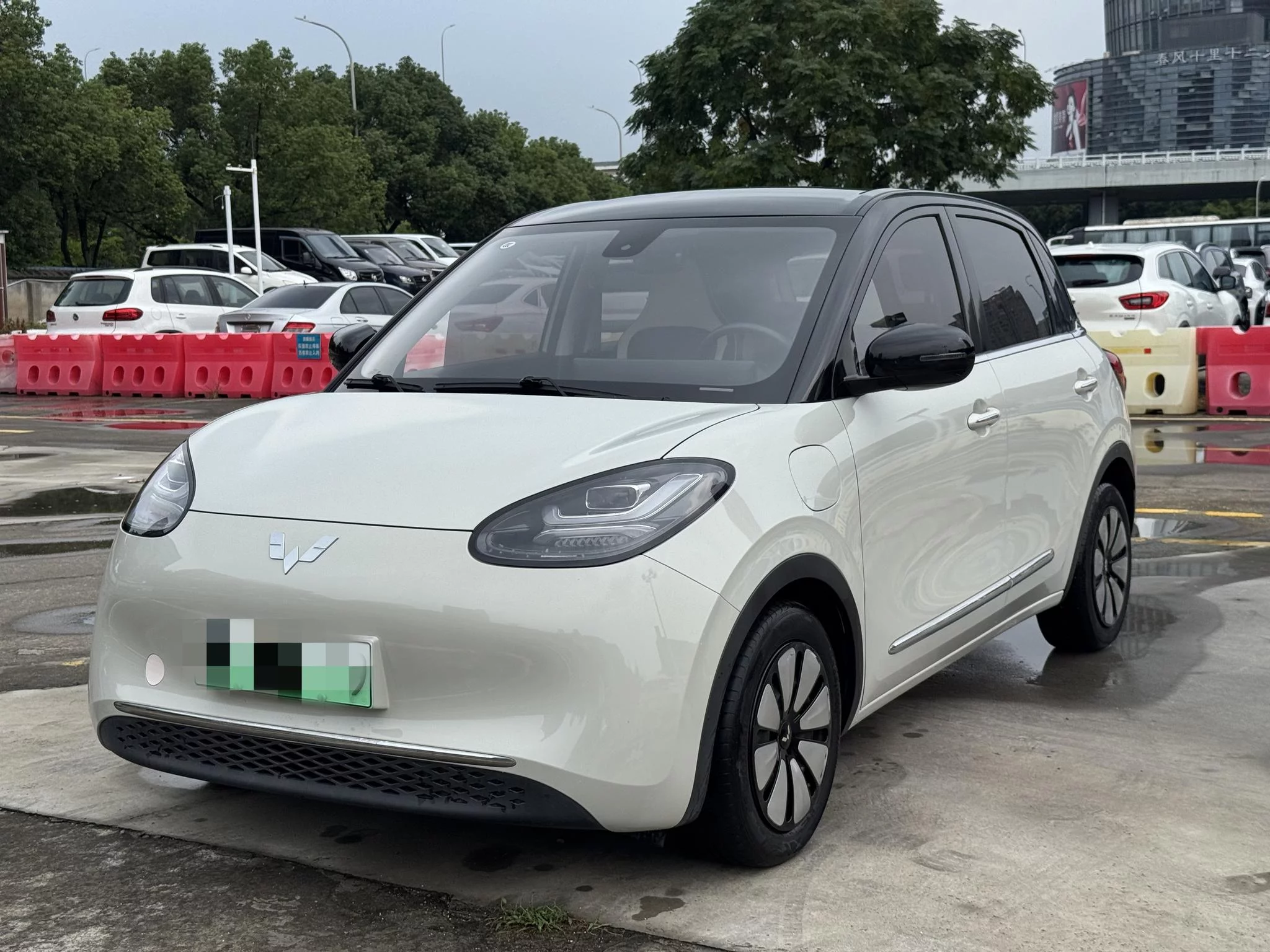 Wuling Bingo