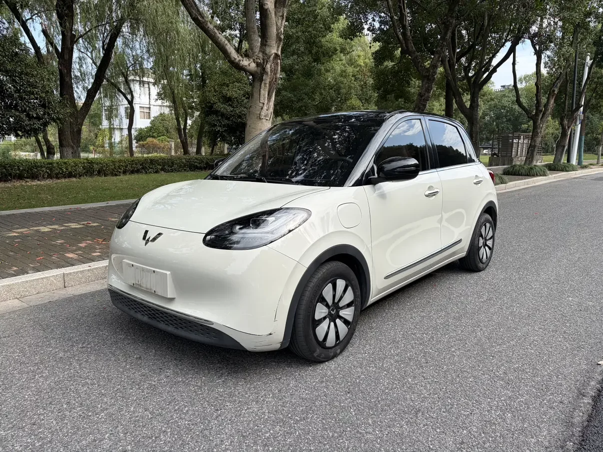 Wuling Bingo