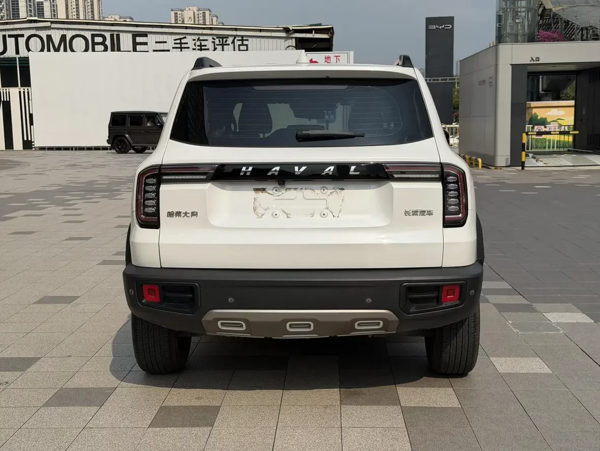 HAVAL GREAT WALL DACHSHUND