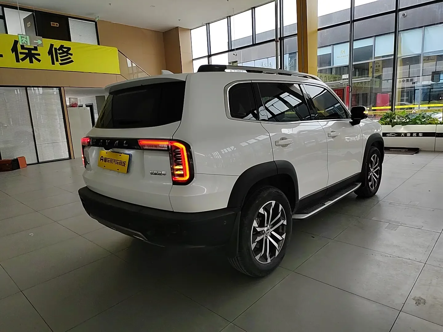 Haval Great Wall Dachshund