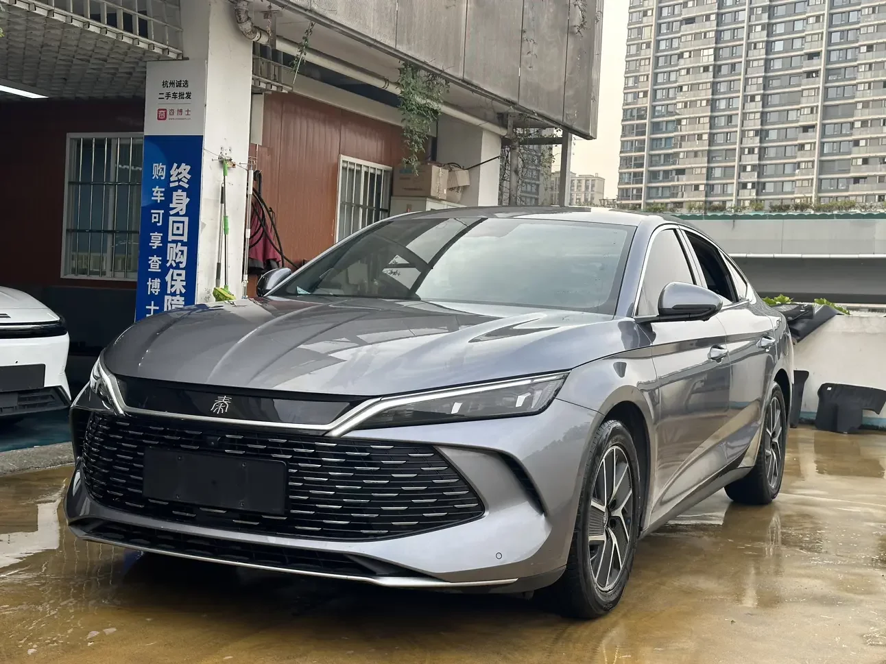 BYD Qin L DM