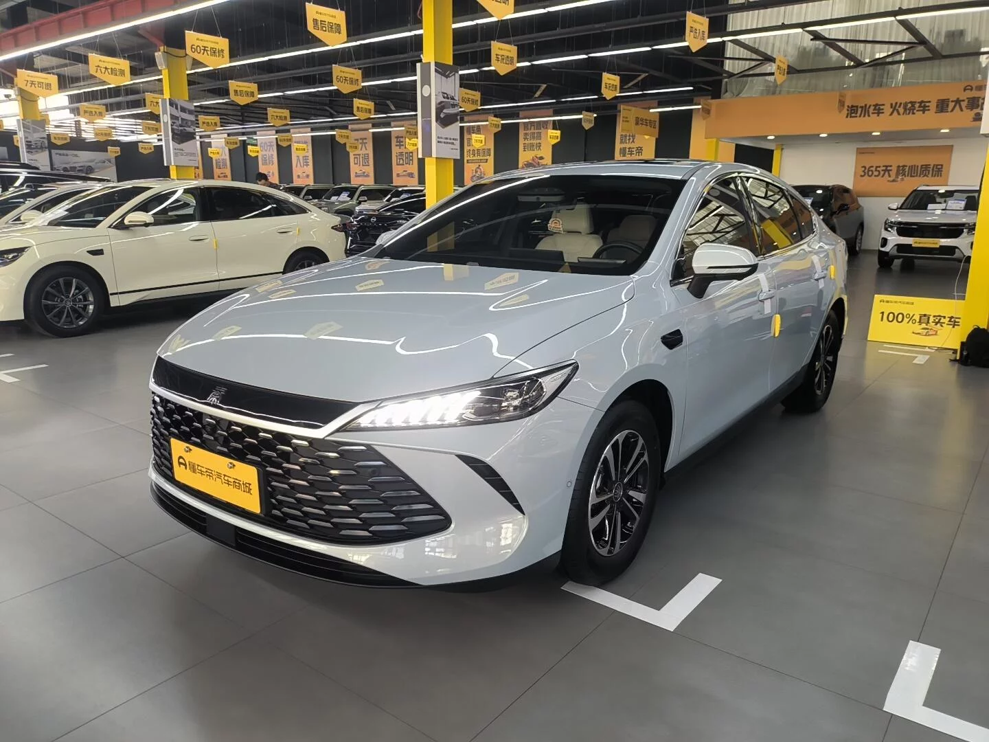 BYD Qin PLUS DM