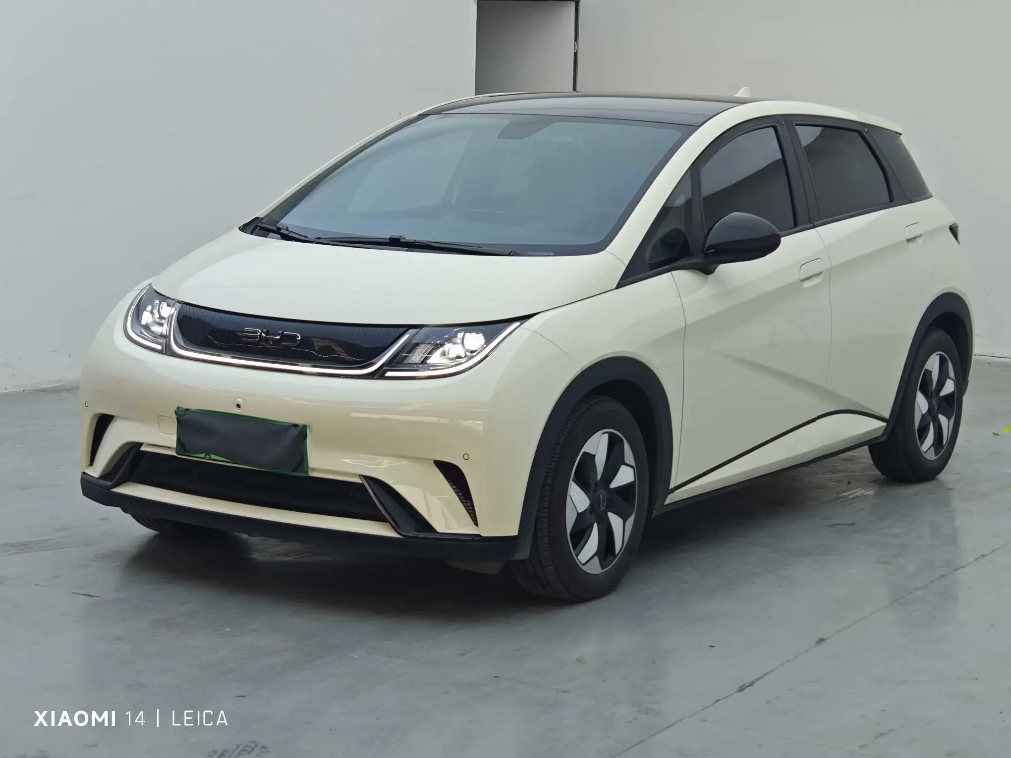 BYD Dolphin