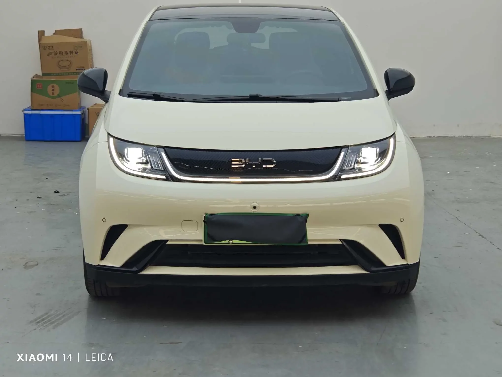 BYD Dolphin